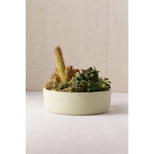 Urban Outfitters Succulent Planter